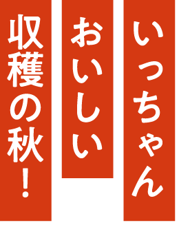 いっちゃんおいしい収穫の秋!