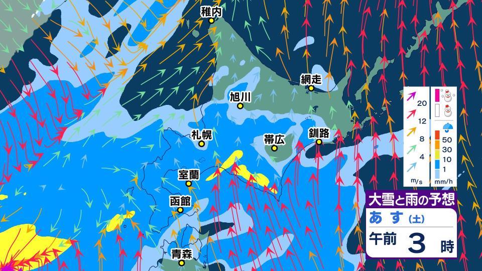 19日午前０時の雨・風シミュレーション