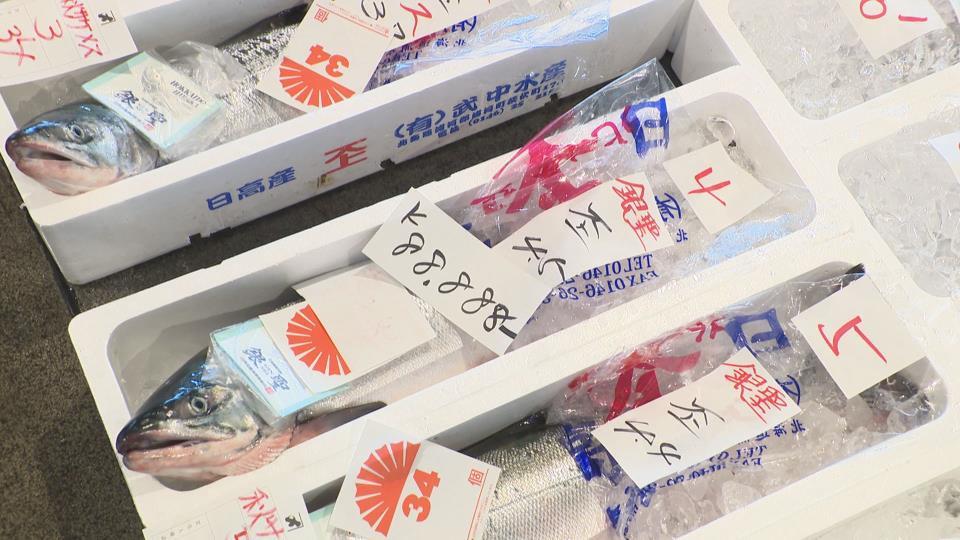 １キロ８万8888円の史上最高値で競り落とされた秋サケ