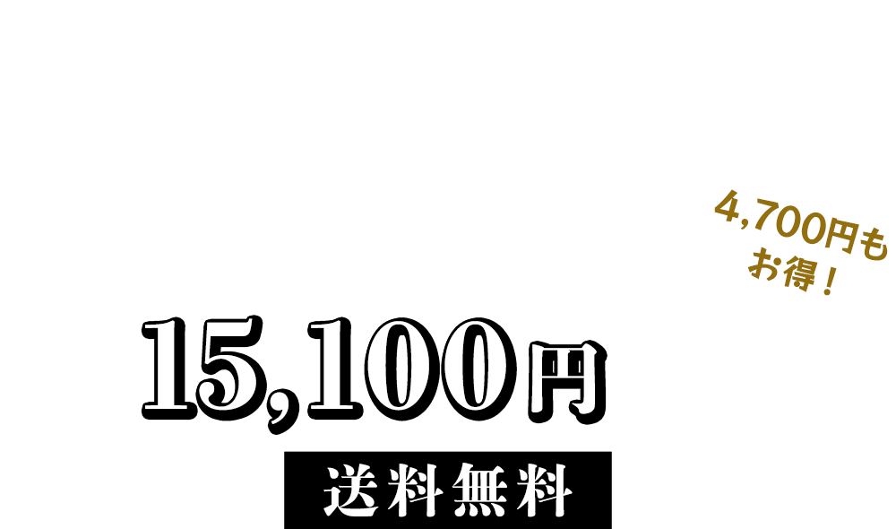 通常価格19,800円(税込)→今なら早割で15,100円(税込) / 送料無料