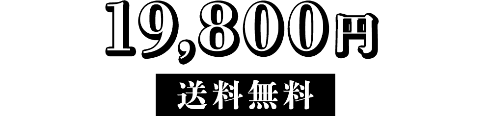 価格19,800円(税込) / 送料無料