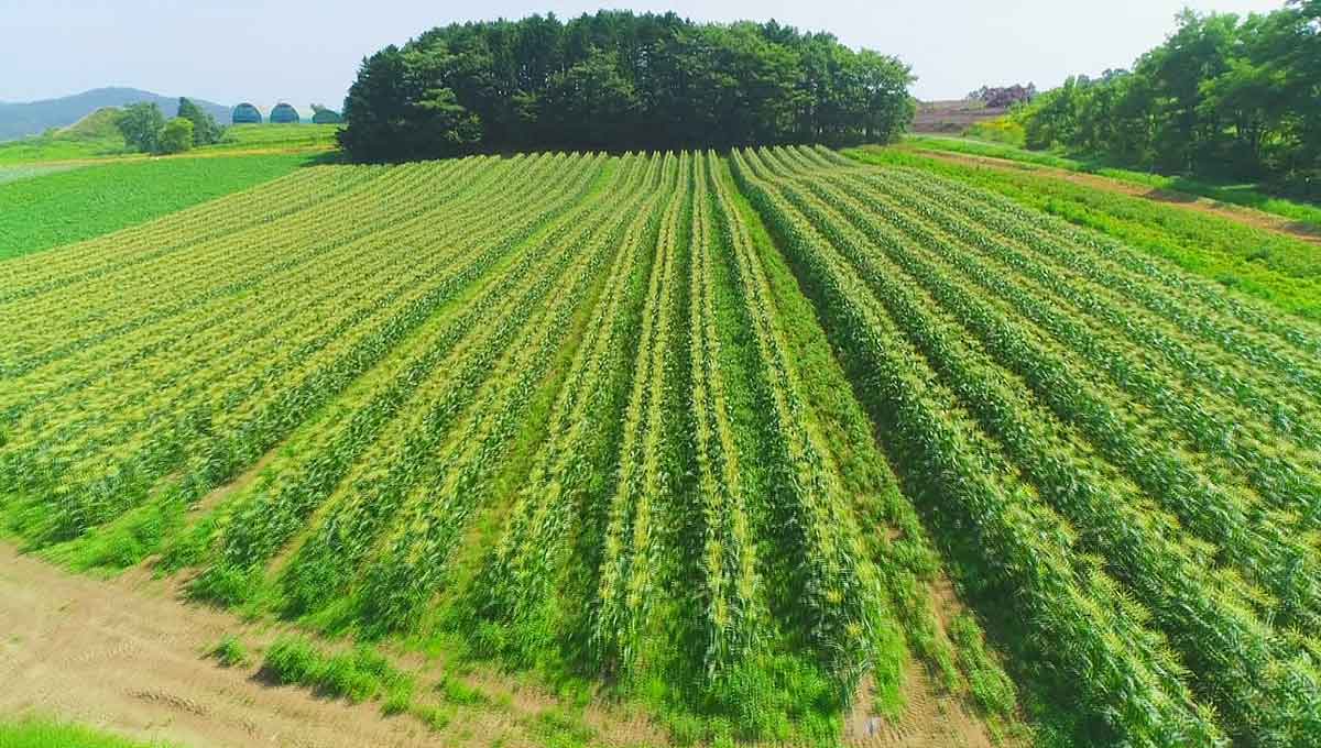 北海道ドローン紀行 バックナンバー 46 60 Hbc北海道放送