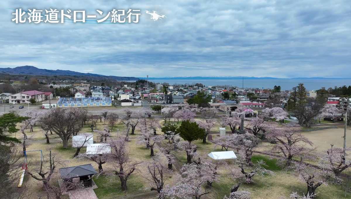 配信サムネイル