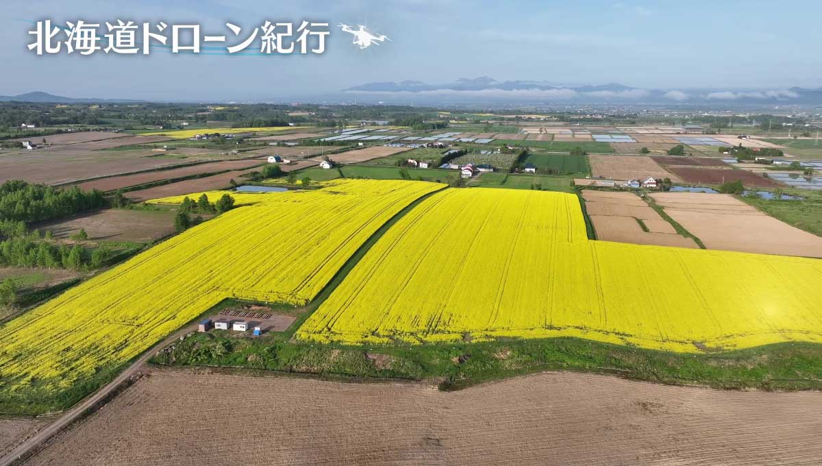 配信サムネイル