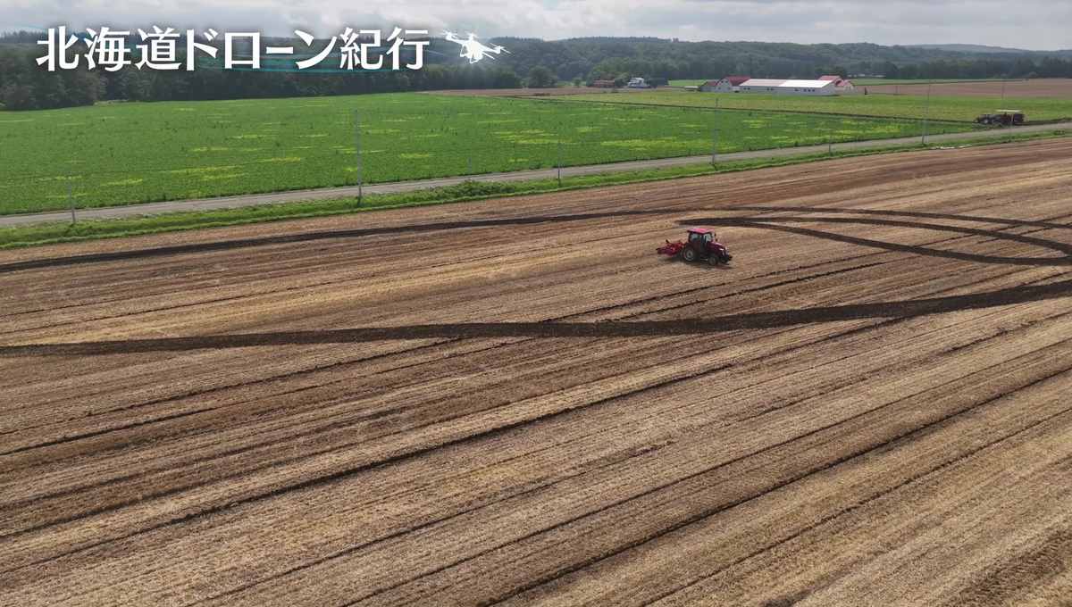 配信サムネイル