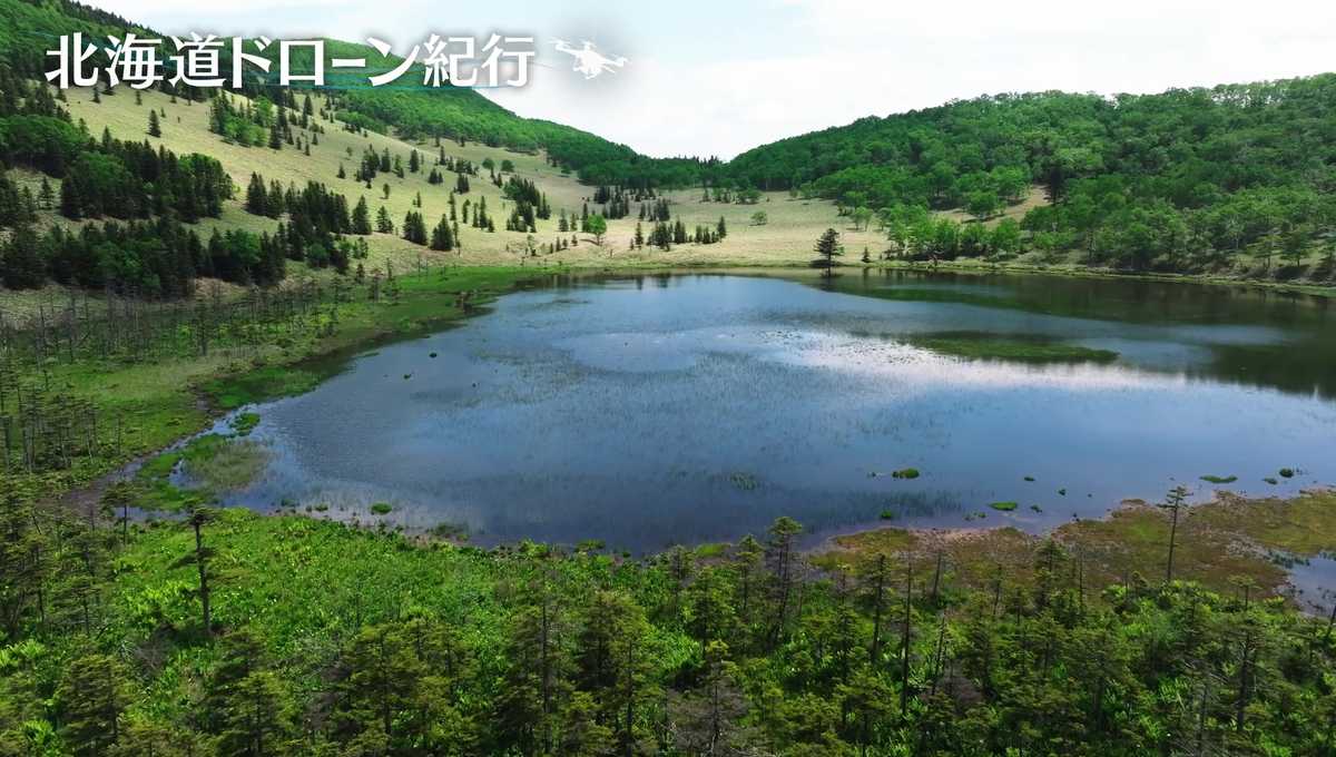 配信サムネイル